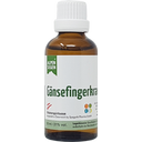 Alpensegen Gänsefingerkraut, 50 ml