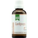 Life Light Alpensegen Cordyceps - 50 ml