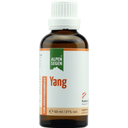 TCM/TEM-Kräuterkomplex Yang, 50 ml