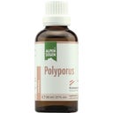 Life Light Alpensegen Polyporus - 50 ml