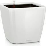 Lechuza Pflanzgefäß QUADRO Premium LS 50