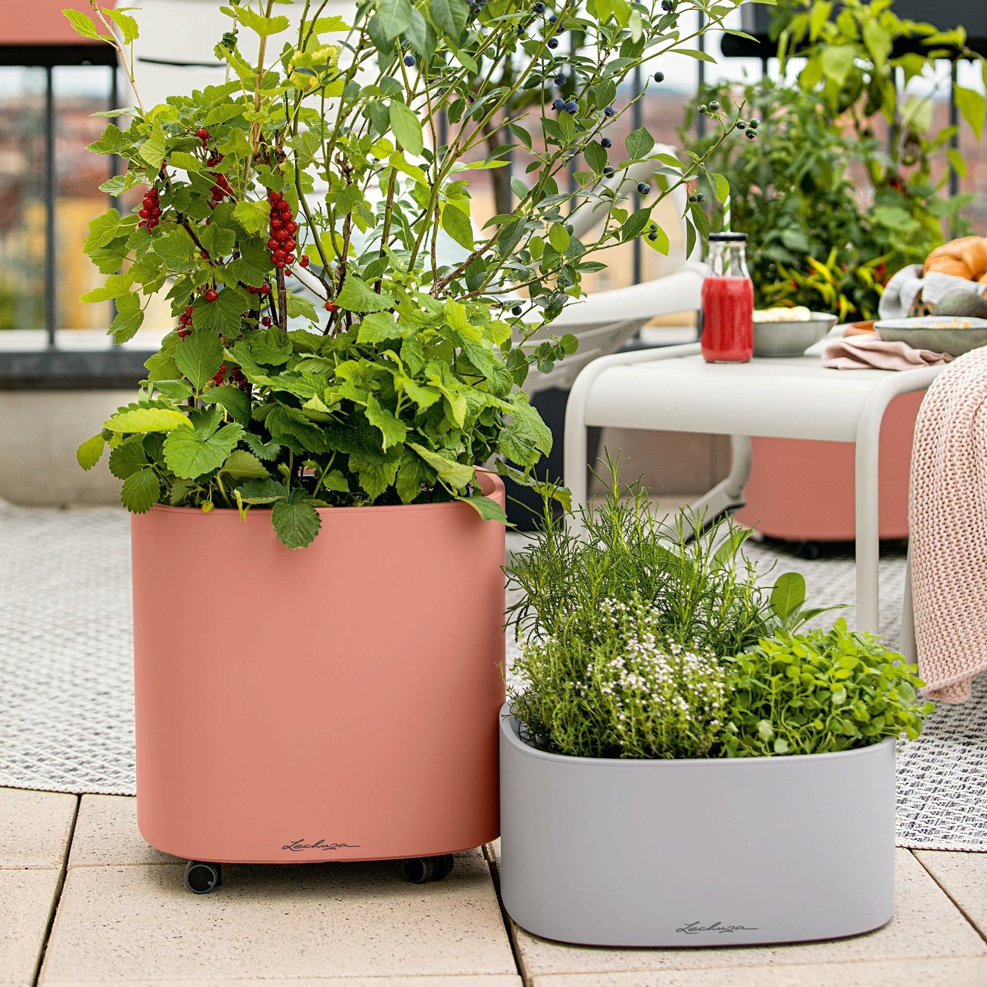 Lechuza Pflanzgefäß PILA Color Planter