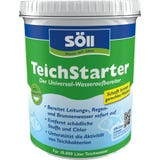 S&ouml;ll TeichStarter