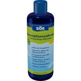 Söll WasserpflanzenPracht