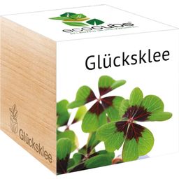 Feel Green ecocube "Glücksklee"