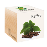 Feel Green ecocube "Exotics"