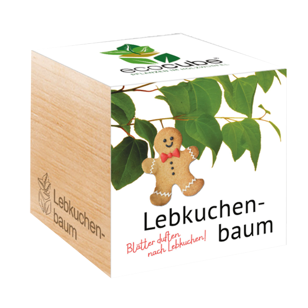 Feel Green ecocube 