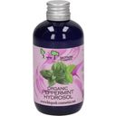 Biopark Cosmetics Organic Peppermint Hydrosol - 100 ml