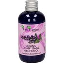 Biopark Cosmetics Organic Clary Sage Hydrosol - 100 ml