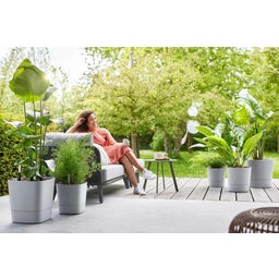 elho greensense aqua care quadrat 30 cm - light beton