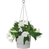 elho greenville Hängeampel 24 cm