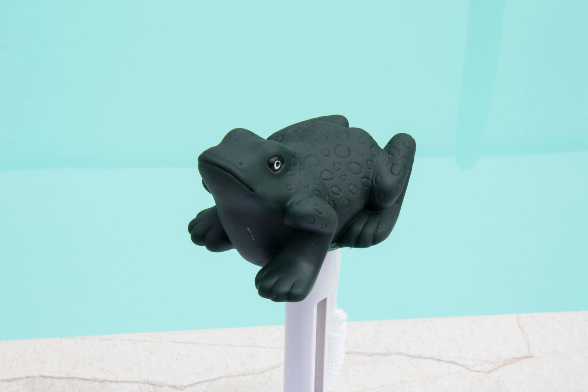 Steinbach Tiermotiv Schwimmthermometer - Frosch