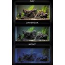 AQUAEL UltraScape 60 forest Aquarium - 1 Stk
