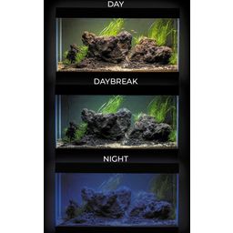 AQUAEL UltraScape 60 forest Aquarium - 1 Stk