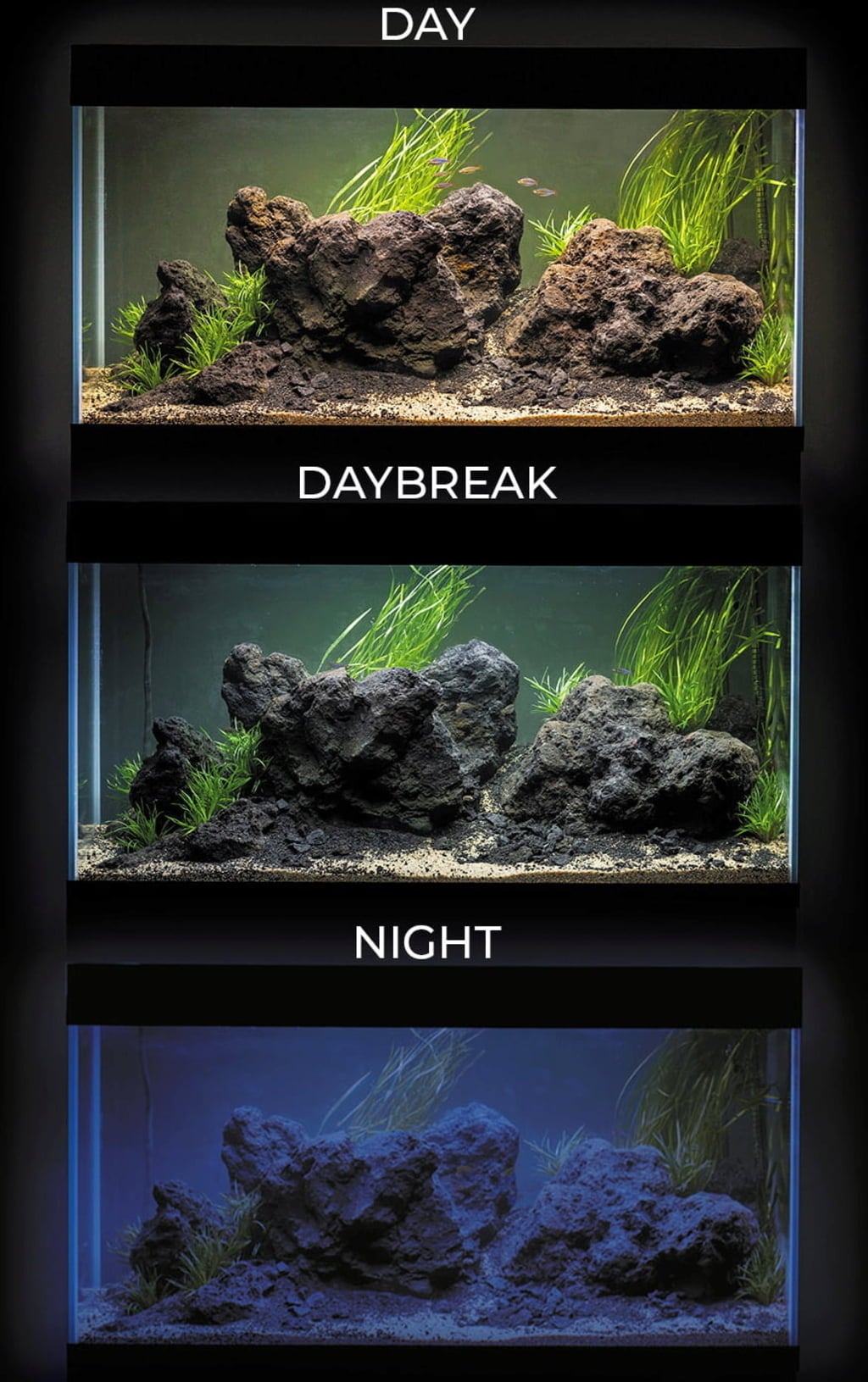 AQUAEL UltraScape 60 forest Aquarium - 1 Stk