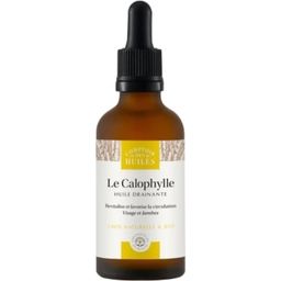 Comptoir des Huiles Calophyllum Öl (Tamanu) - 50 ml