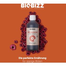 Biobizz Bio-Bloom