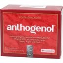 Original Masqueliers Anthogenol OPC Kapseln - 90 Kapseln