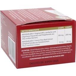 Original Masqueliers Anthogenol OPC Kapseln - 90 Kapseln