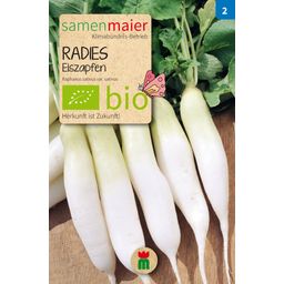 Samen Maier Bio Radies Eiszapfen - 1 Pkg