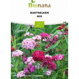 Bionana Bio Bartnelken Mix