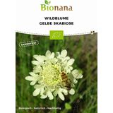 Bionana Bio Wildblume Gelbe SkaBiose