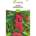 Bionana Bio Echter Erdbeerspinat - 1 Pkg