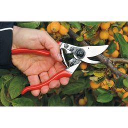 Obstbau & Gartenschere Felco 9 für Linkshänder - 1 Stk