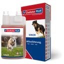 GladiatorPLUS Hund Senior