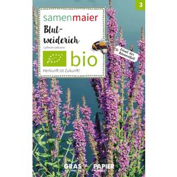 Samen Maier Bio Wildblume Blut-Weiderich