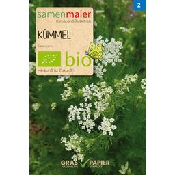 Samen Maier Bio Kümmel - 1 Pkg