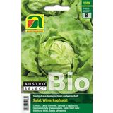 AUSTROSAAT Bio Kopfsalat "Neusiedler Gelber Winter"