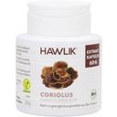 Hawlik Coriolus Extrakt Kapseln, Bio - 60 Kapseln