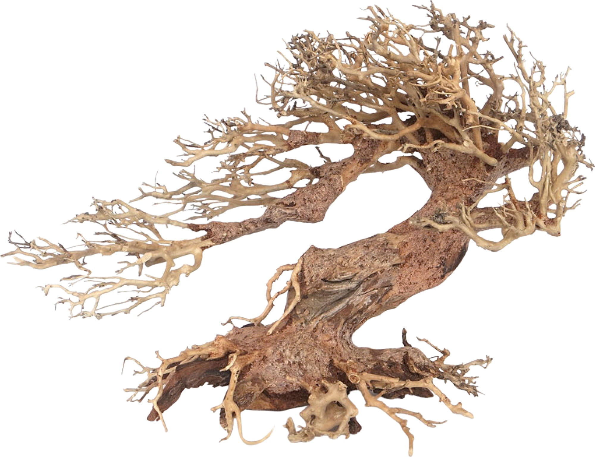 Amtra Holz Oriental WIND 3