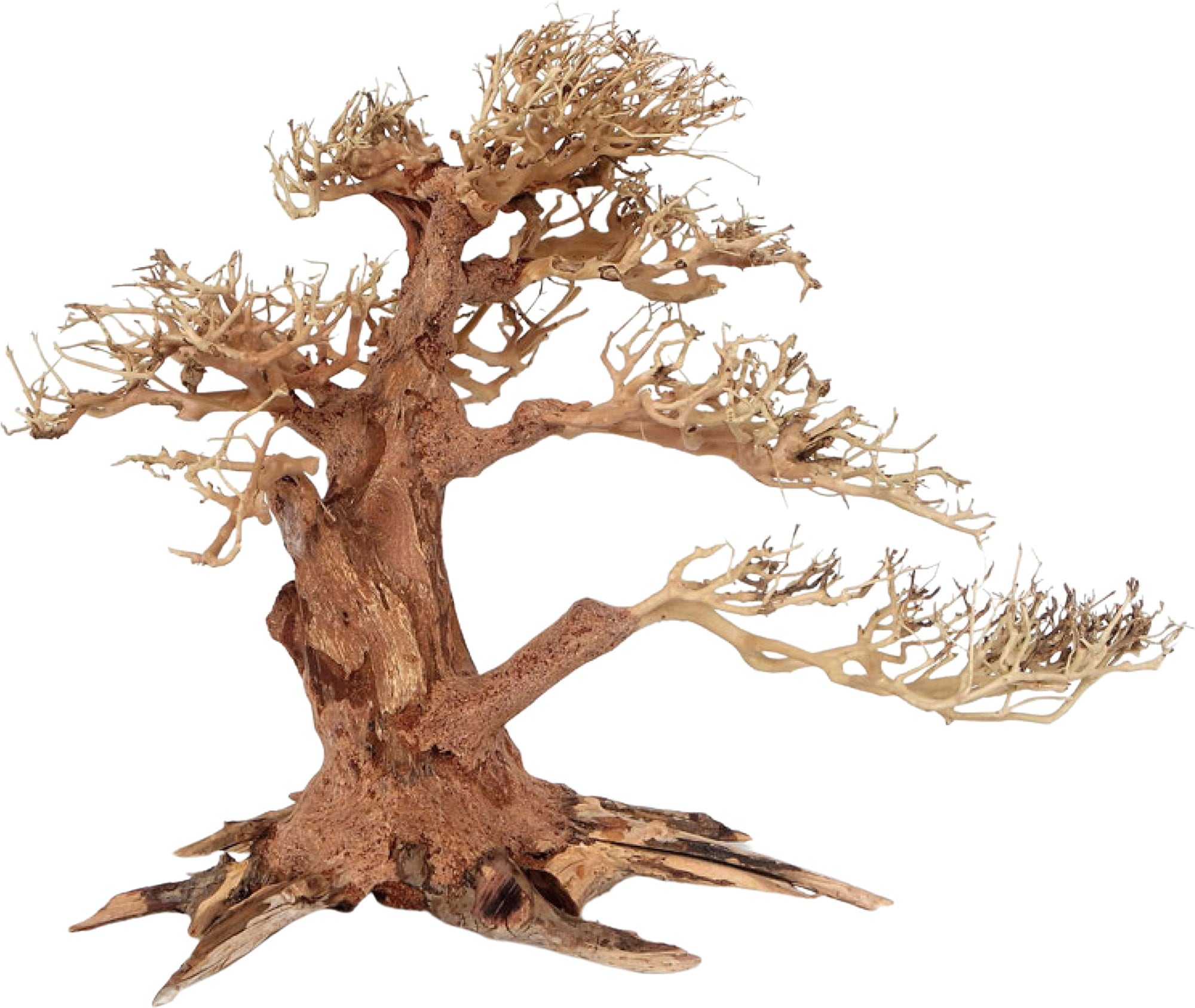 Amtra Holz Oriental WIND 4