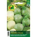 AUSTROSAAT Kürbiszucchini 