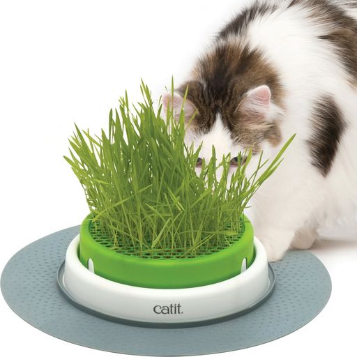 Catit Senses 2.0 Grass Planter - 1 Stk