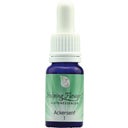 Helping Flowers Nr. 1 Ackersenf - 10 ml