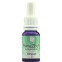 Nr. 5 Bärlauch, 10 ml