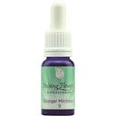 Helping Flowers Nr. 9 Doldiger Milchstern - 10 ml