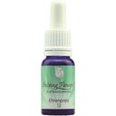 Helping Flowers Nr. 12 Ehrenpreis - 10 ml