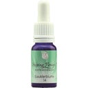 Helping Flowers Nr. 14 Gauklerblume - 10 ml