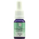 Helping Flowers Nr. 16 Ginster - 10 ml