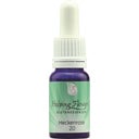 Helping Flowers Nr. 20 Heckenrose - 10 ml