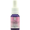Helping Flowers Mischung F - Schlafgut - Essenz - 10 ml