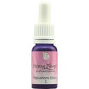 Helping Flowers Mischung C - Motivations - Essenz - 10 ml