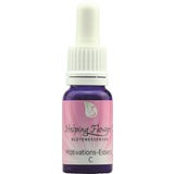 Helping Flowers Mischung C - Motivations - Essenz