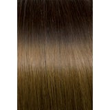 Seiseta Sticker Tape-In Extensions Ombré 40/45cm