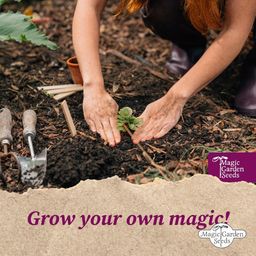 Magic Garden Seeds Paleo - Samenset - 1 Set