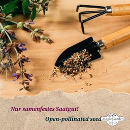 Magic Garden Seeds Paleo - Samenset - 1 Set